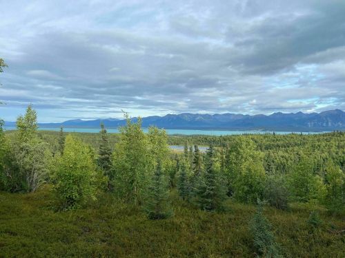 A scenic view of lush green trees and mountains under a cloudy sky, with a lake in the distance.