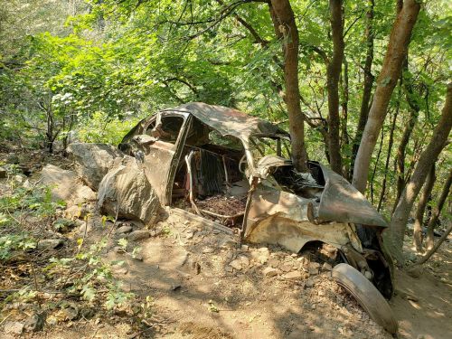 An old, rusted car partially hidden among trees and rocks in a wooded area.