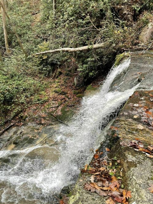 A small waterfall cascades over rocky terrain, surrounded by lush greenery and fallen leaves.