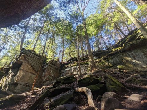 A rocky landscape with towering trees and sunlight filtering through, creating a serene natural setting.