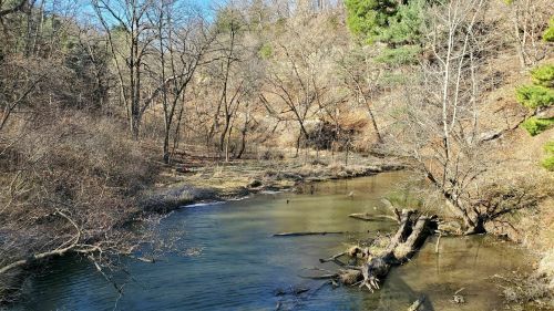 A serene river flows through a wooded area with bare trees and rocky banks under a clear blue sky.