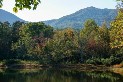A serene landscape featuring a calm lake surrounded by colorful trees and mountains in the background.