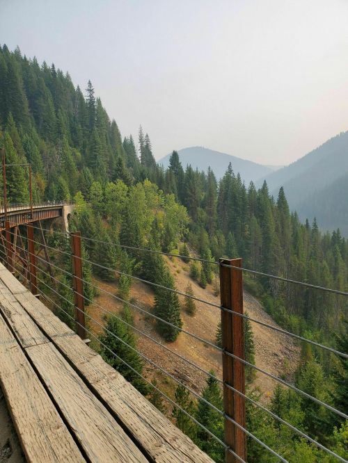 A wooden walkway with a railing overlooks a misty mountain landscape filled with evergreen trees.