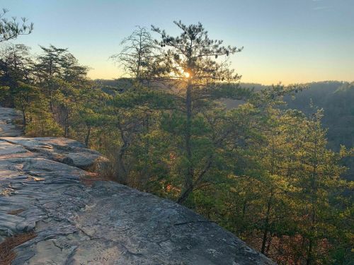 Sunrise peeking through trees on a rocky ledge, with a serene landscape in the background.