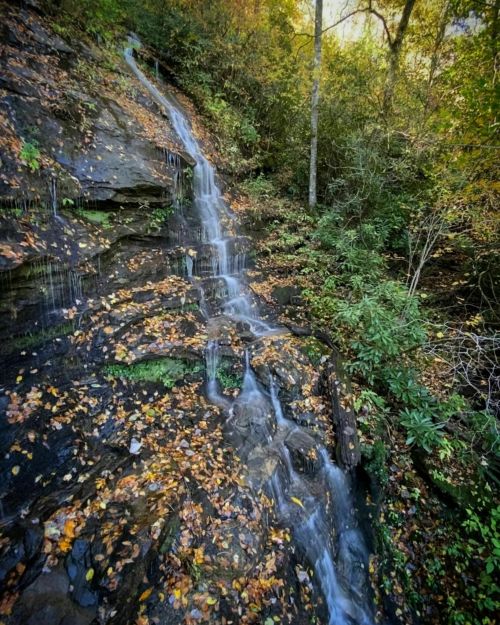 A serene waterfall cascading over rocky terrain, surrounded by autumn foliage and lush greenery.