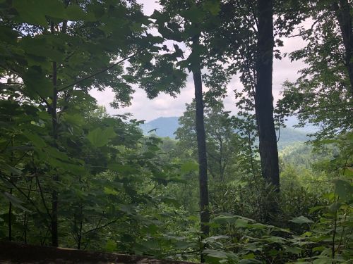 A view through lush green trees, revealing distant mountains under a cloudy sky.