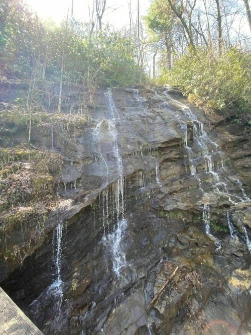 A serene waterfall cascading down a rocky cliff, surrounded by lush greenery and sunlight filtering through the trees.