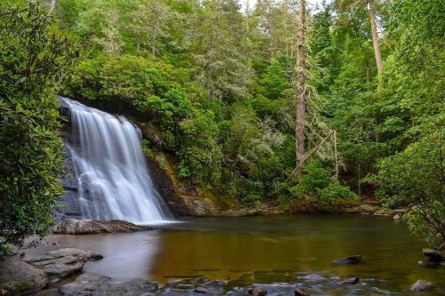 A serene waterfall cascades into a calm pool, surrounded by lush green trees and rocky terrain.