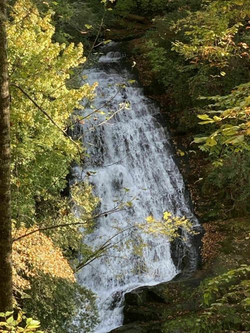 A cascading waterfall surrounded by vibrant autumn foliage and lush greenery.
