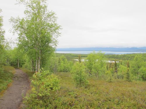A scenic view of a lush green landscape with a winding path, trees, and a distant body of water under a cloudy sky.