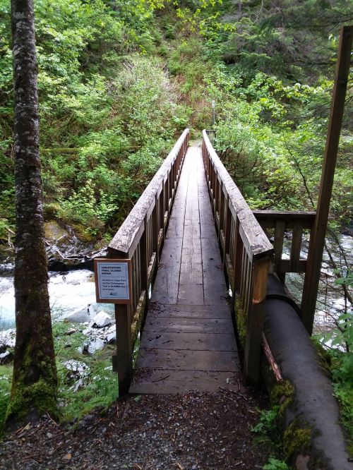 A wooden bridge spans a stream, surrounded by lush greenery and trees, with a sign on the side.
