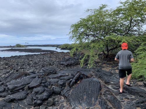 A child in an orange cap walks along a rocky shoreline with lush greenery and calm waters in the background.