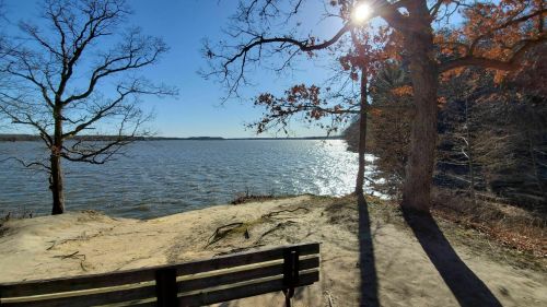 A serene lakeside view with trees, a sandy shore, and sunlight reflecting on the water under a clear blue sky.