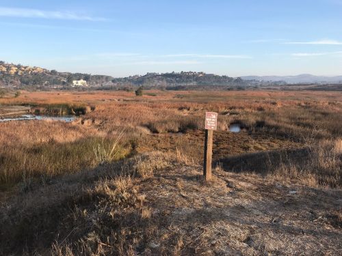 A scenic view of a marshland with tall grasses and a signpost in the foreground, under a clear blue sky.