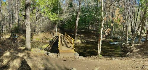 A wooden bridge spans a serene stream, surrounded by trees and lush greenery in a peaceful forest setting.