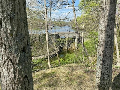 A bridge spans a river, surrounded by trees and greenery under a clear blue sky.