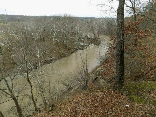 A winding river flows through a wooded area with bare trees and fallen leaves, under a cloudy sky.