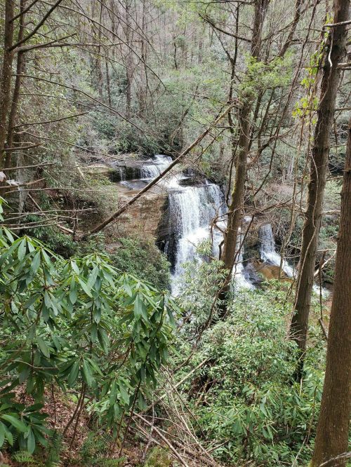 A serene waterfall cascades through a lush, green forest surrounded by trees and foliage.