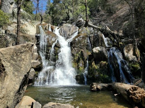 A serene waterfall cascading over rocks into a clear pool, surrounded by lush greenery and trees.