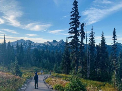 A person walks along a winding path in a lush, mountainous landscape with tall trees and distant peaks under a blue sky.