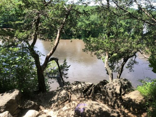 A serene river view surrounded by lush green trees and rocky terrain on a sunny day.