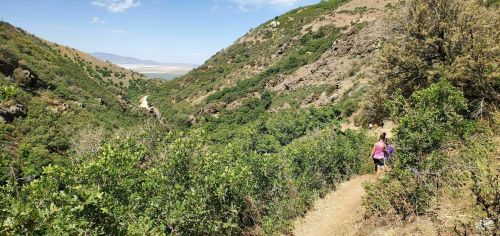 A person walks along a winding trail through a lush green valley surrounded by hills under a clear blue sky.