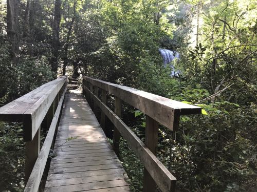 A wooden bridge leads through lush greenery, with a waterfall visible in the background.