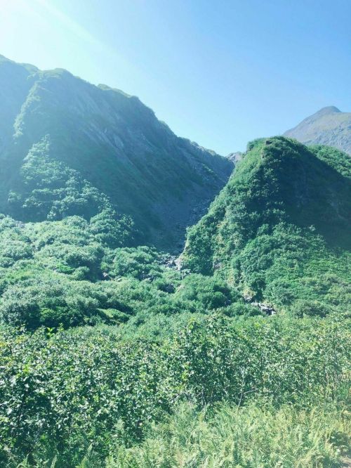 Lush green mountains under a clear blue sky, with dense vegetation and rocky terrain visible in the valley.