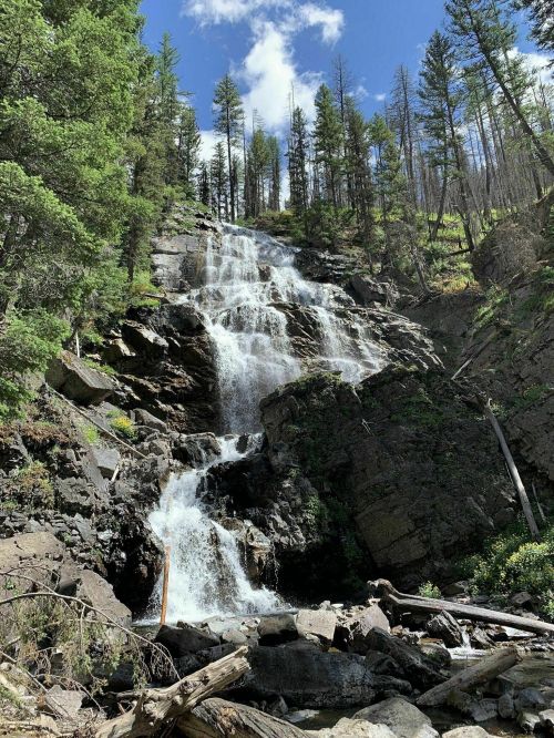A cascading waterfall flows down rocky terrain, surrounded by lush green trees and a clear blue sky.