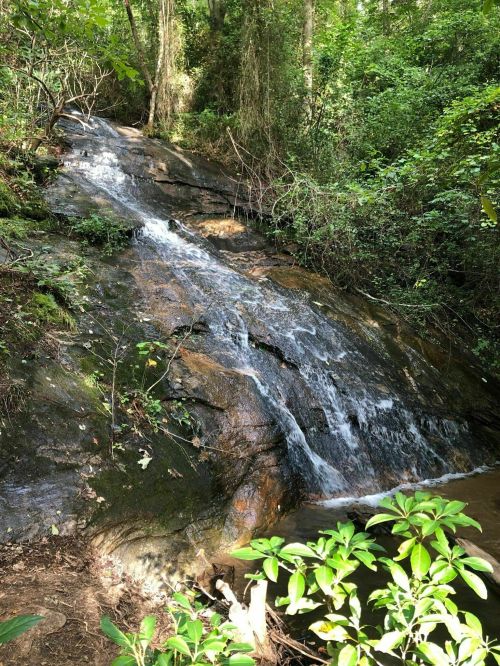 A serene waterfall cascading over rocky terrain, surrounded by lush green foliage in a forested area.