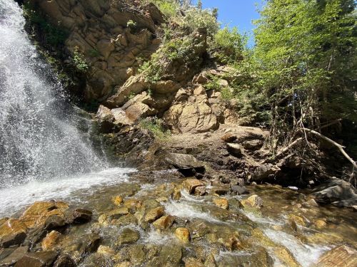 A serene waterfall cascades over rocks into a clear stream, surrounded by lush greenery and rocky terrain.