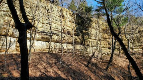 Rocky cliffside with layered sandstone, surrounded by trees and a forest floor covered in fallen leaves.