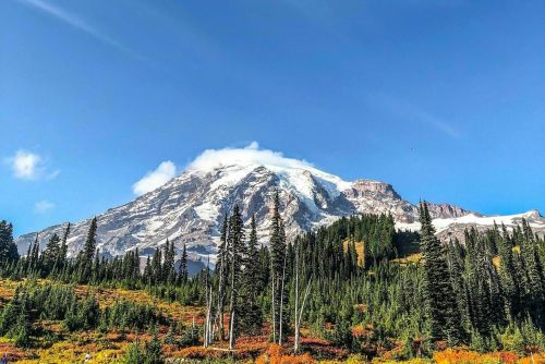 Majestic snow-capped mountain under a clear blue sky, surrounded by lush green trees and colorful autumn foliage.
