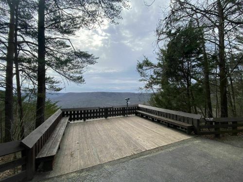 A wooden observation deck surrounded by trees, overlooking a distant valley under a cloudy sky.