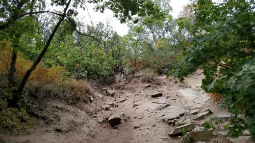A person climbs a rocky path surrounded by trees and autumn foliage in a natural setting.