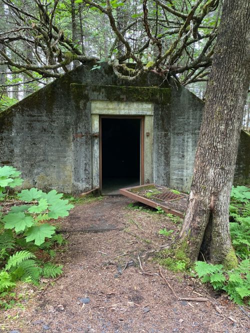 A moss-covered concrete structure with a dark entrance, surrounded by lush greenery and trees.