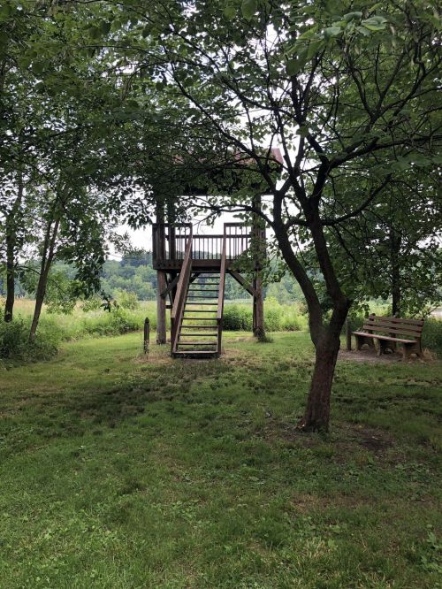 A wooden treehouse with stairs surrounded by trees and grassy area, set in a natural landscape.
