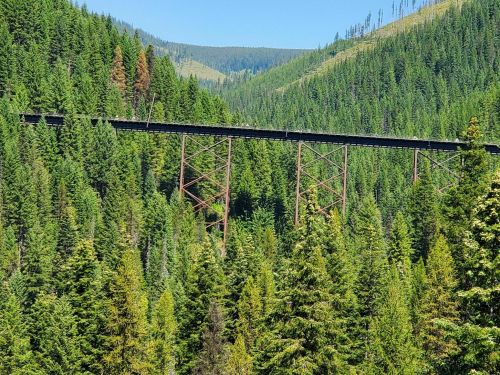 A tall, metal trestle bridge spans a lush green forest, surrounded by mountains under a clear blue sky.