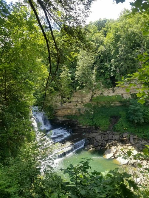 A serene waterfall cascades over rocky ledges, surrounded by lush green trees and foliage.