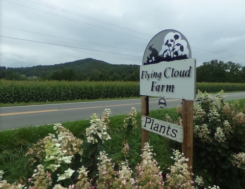 Sign for Flying Cloud Farm with "Plants" below, set against a backdrop of fields and mountains under a cloudy sky.