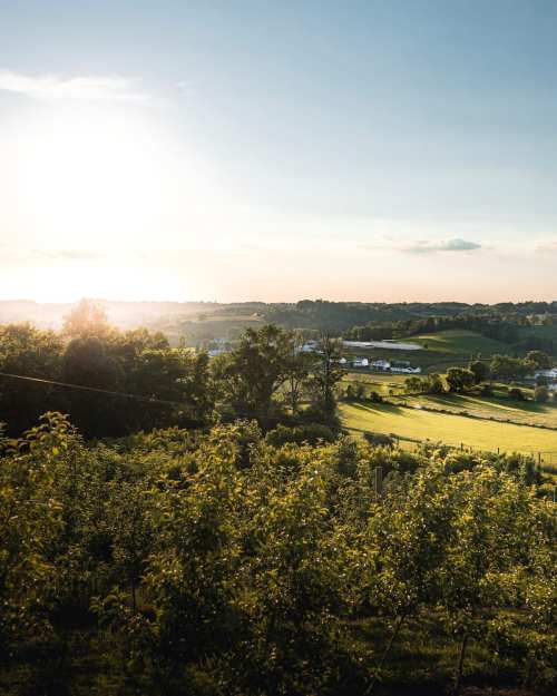 A scenic view of rolling hills and fields at sunset, with trees and a distant farm in the background.