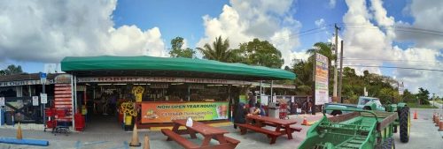 A colorful fruit stand with a green awning, surrounded by palm trees and parked cars, under a partly cloudy sky.