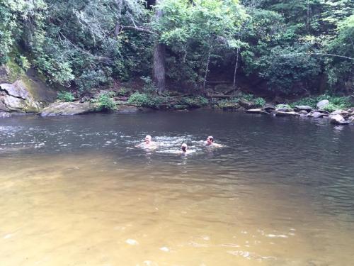 Three people swimming in a calm, clear river surrounded by lush greenery and rocky banks.
