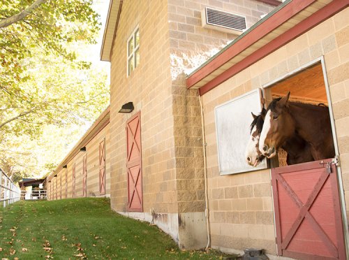 Two horses peek out from a stable with a stone exterior and red doors, surrounded by green grass and trees.