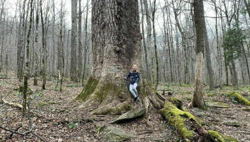 A child sits against a large tree trunk in a forest, surrounded by bare trees and moss-covered rocks.