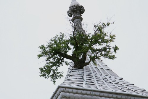 A tree grows from the top of a decorative building spire against a gray sky.