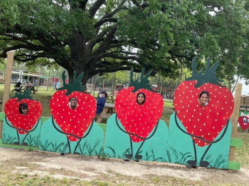 Four people posing behind a colorful strawberry cutout at an outdoor event, with a large tree in the background.