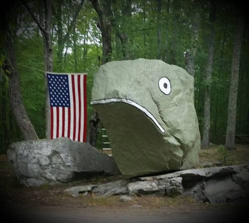A large rock shaped like a fish, with a painted face, next to an American flag in a wooded area.