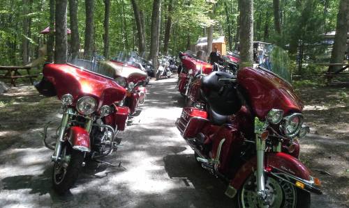 A row of red motorcycles parked on a wooded path, surrounded by trees and a campsite in the background.
