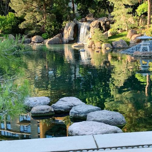 A serene pond with a waterfall, surrounded by rocks and lush greenery, reflecting the peaceful landscape.